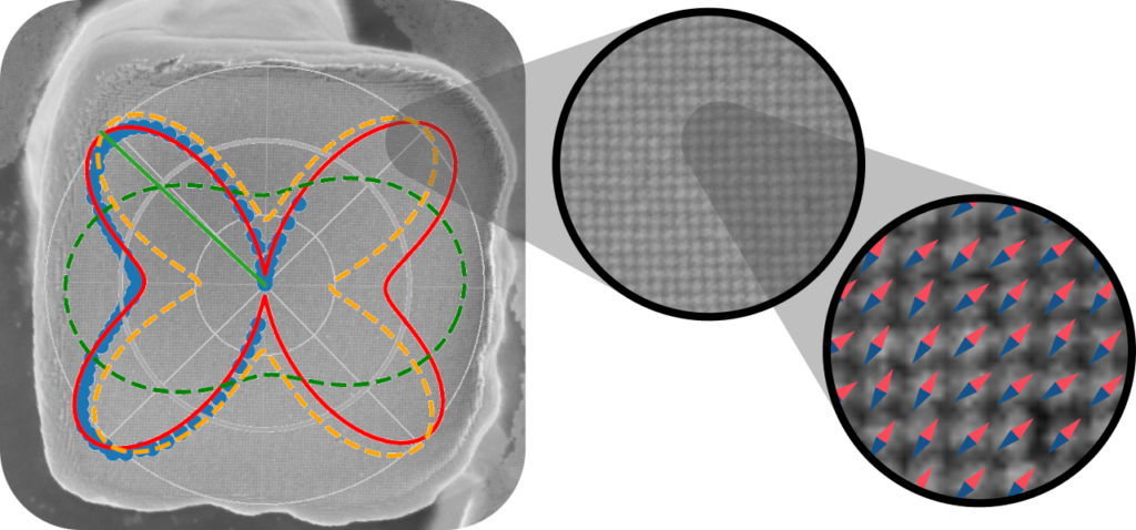 Research | Poggio Lab - University of Basel